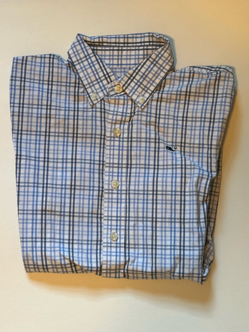 Classic Blue Button-Down Shirt